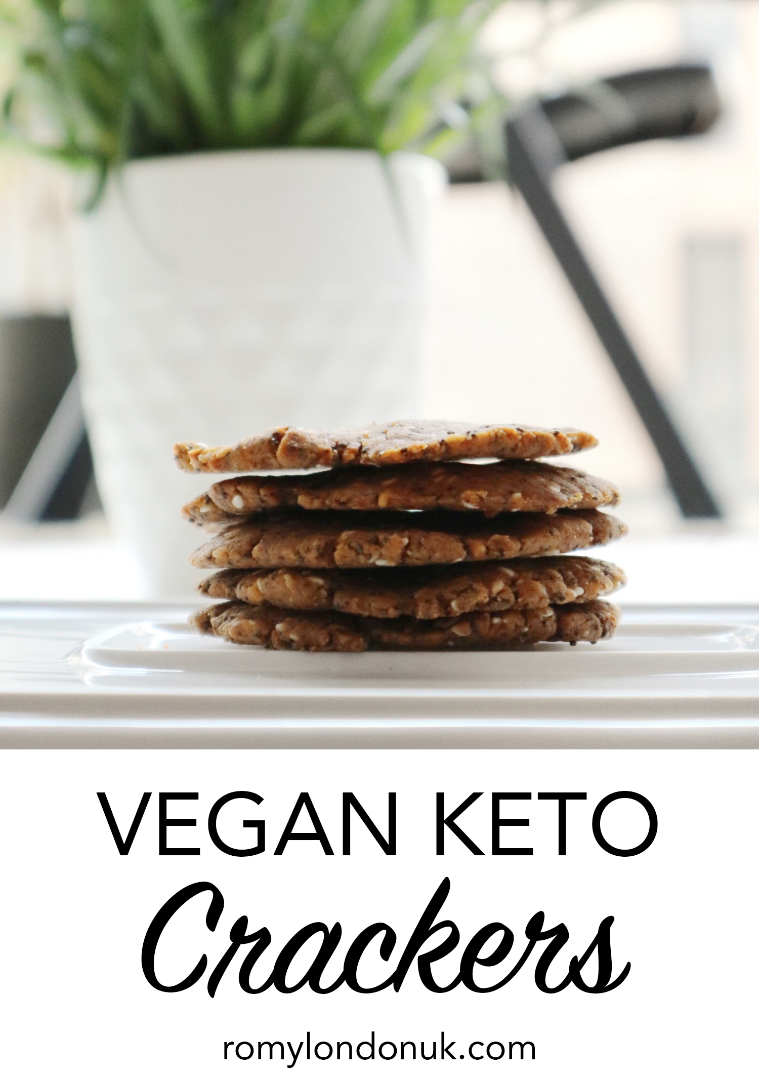 Vegan Keto Crackers Recipe