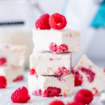 Vegan Protein Frozen Yogurt Bars