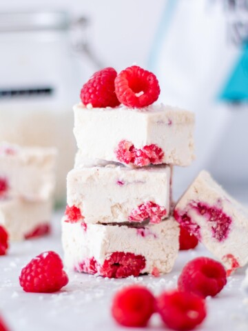 Vegan Protein Frozen Yogurt Bars