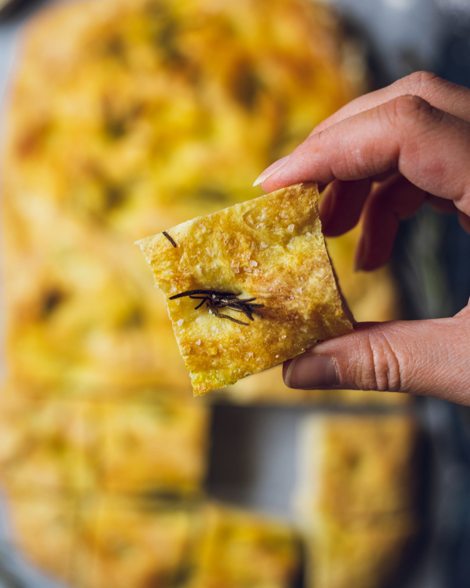 A hand holding a piece of vegan focaccia close up into the camera. 