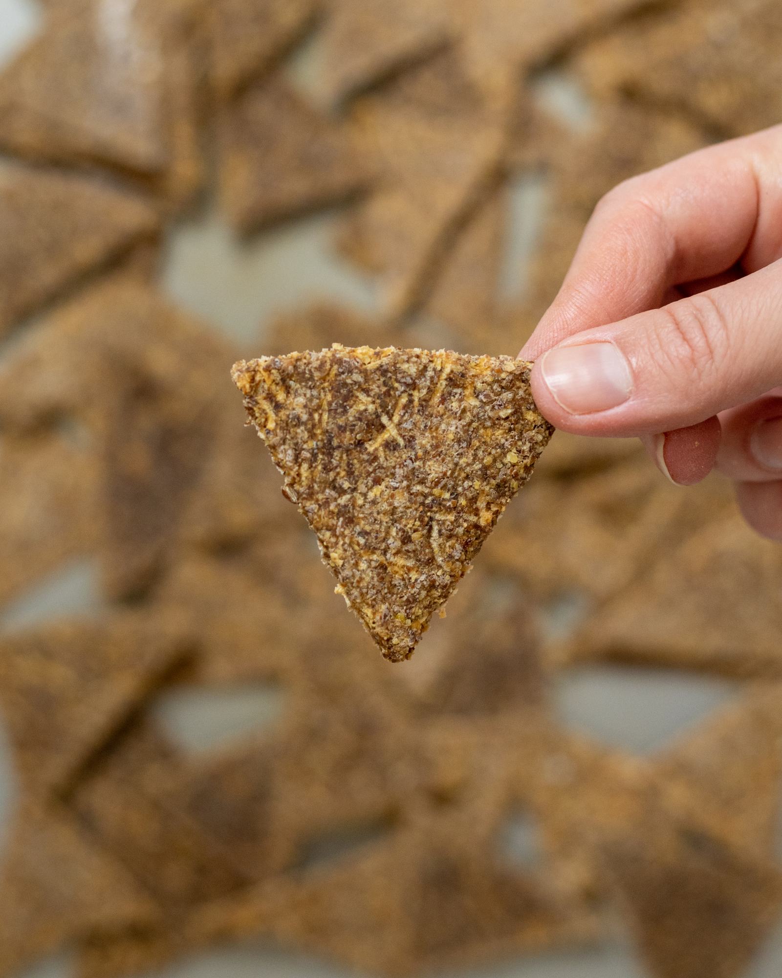 Easy Vegan Apple Crackers Easy Vegan Apple Crackers