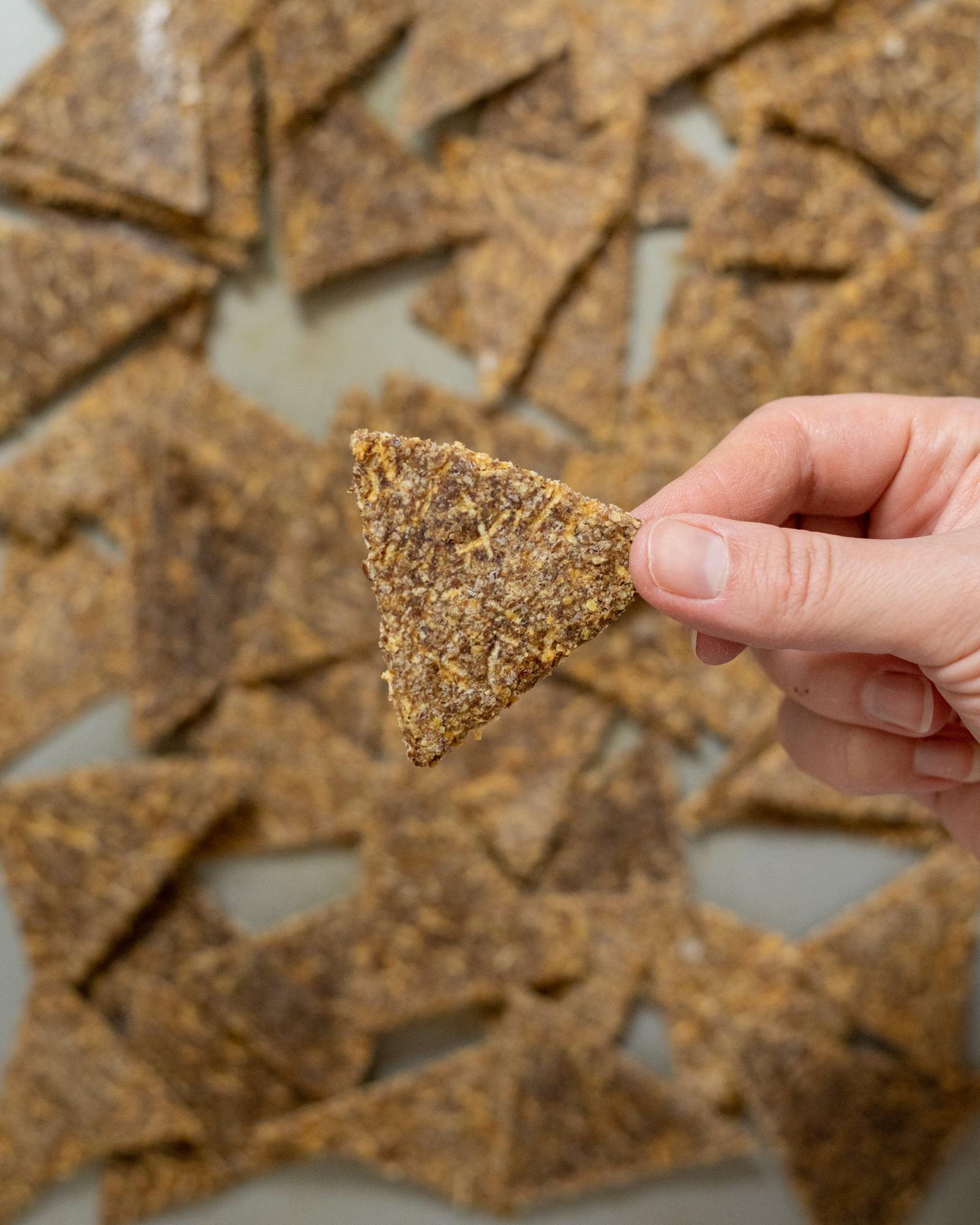 Easy Vegan Apple Crackers