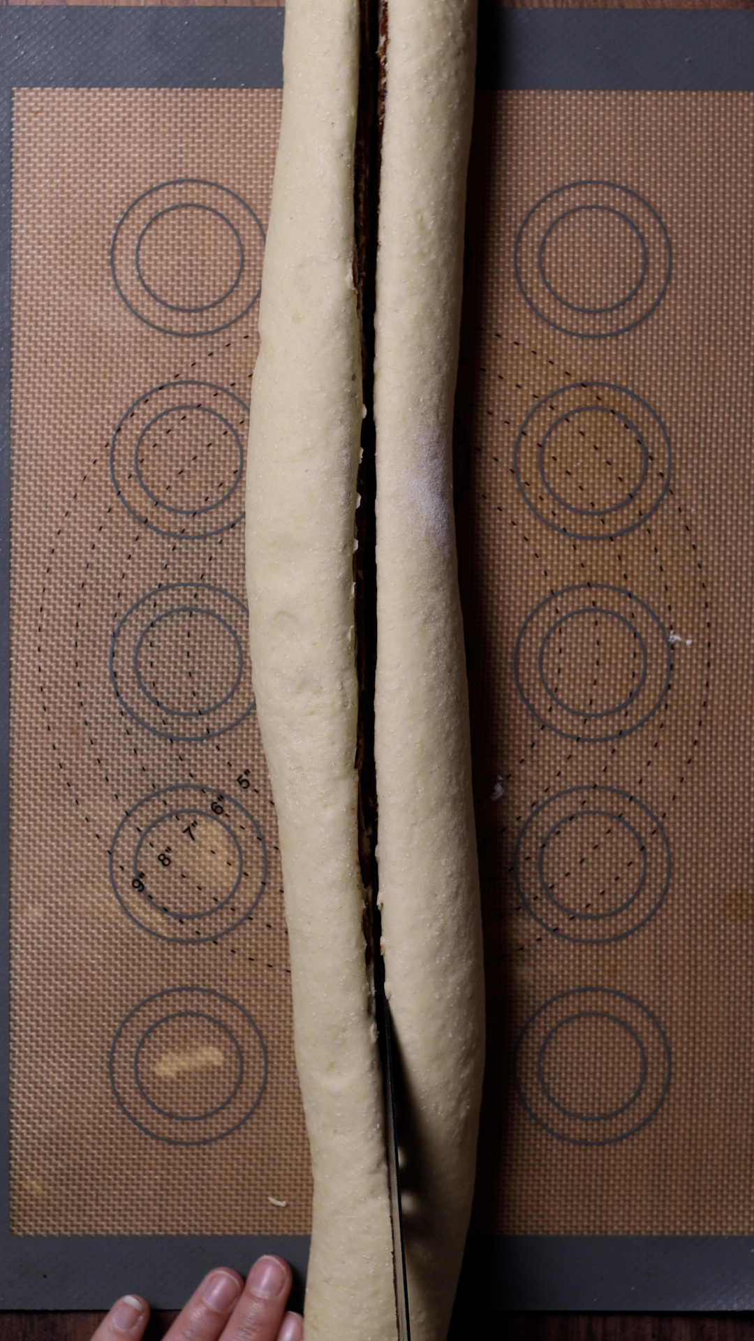 the babka dough cut in halves