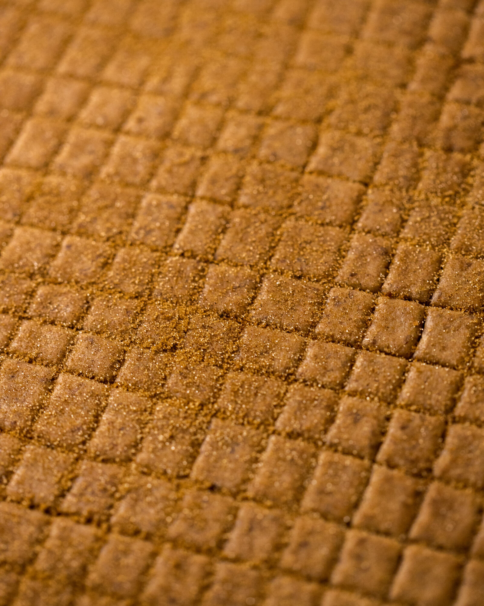 close up of cinnamon toast crunch cereal before baking