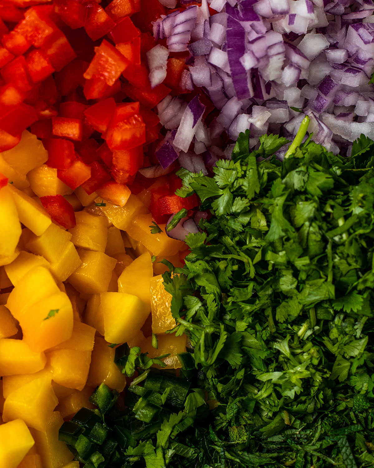 close up of the fresh mango salsa ingredients