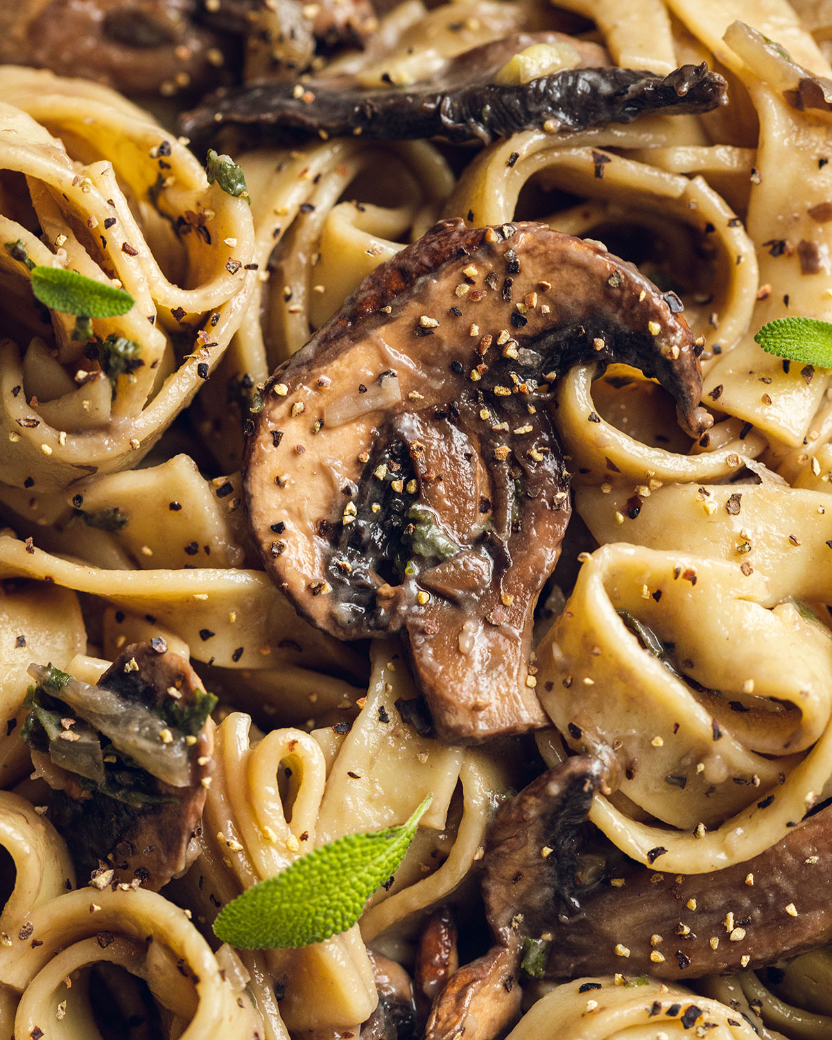 Close up photograph of a creamy vegan mushroom pasta with a slice of mushroom clearly visible on top. Topped with fresh sage leaves and freshly cracked black pepper