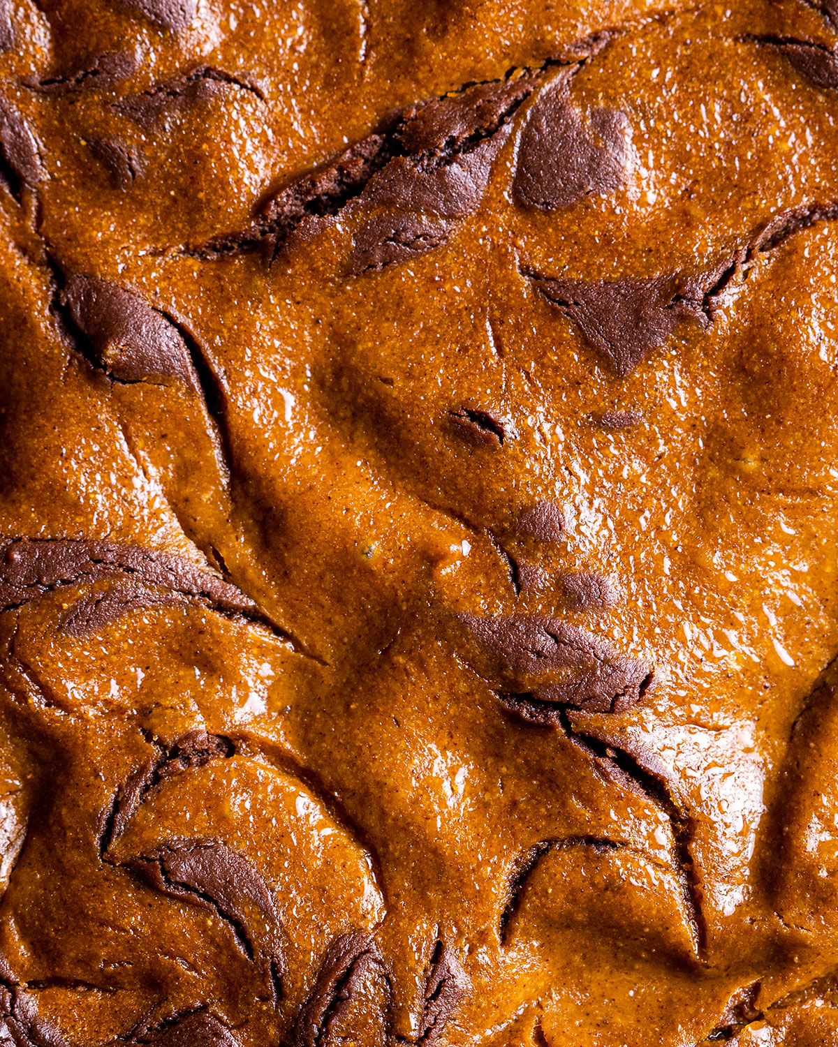 close up of the top of the pumpkin brownies