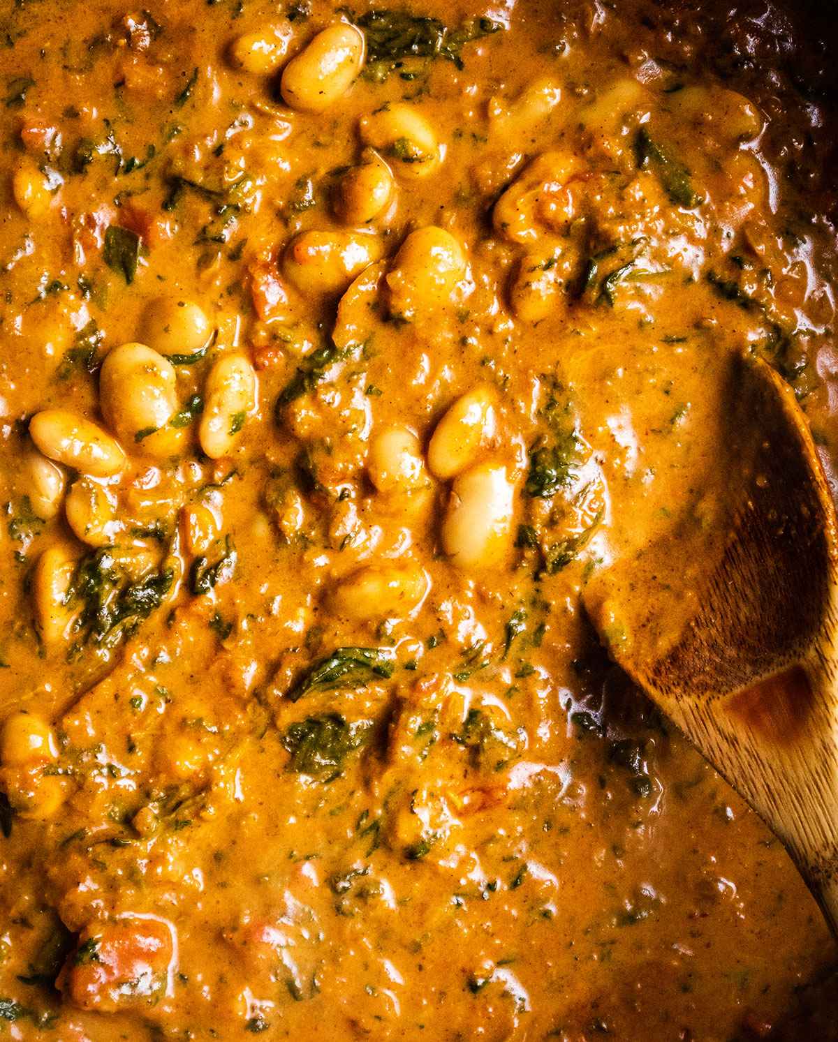 The curry ingredients are all stirred up into a smooth butter bean curry sauce.