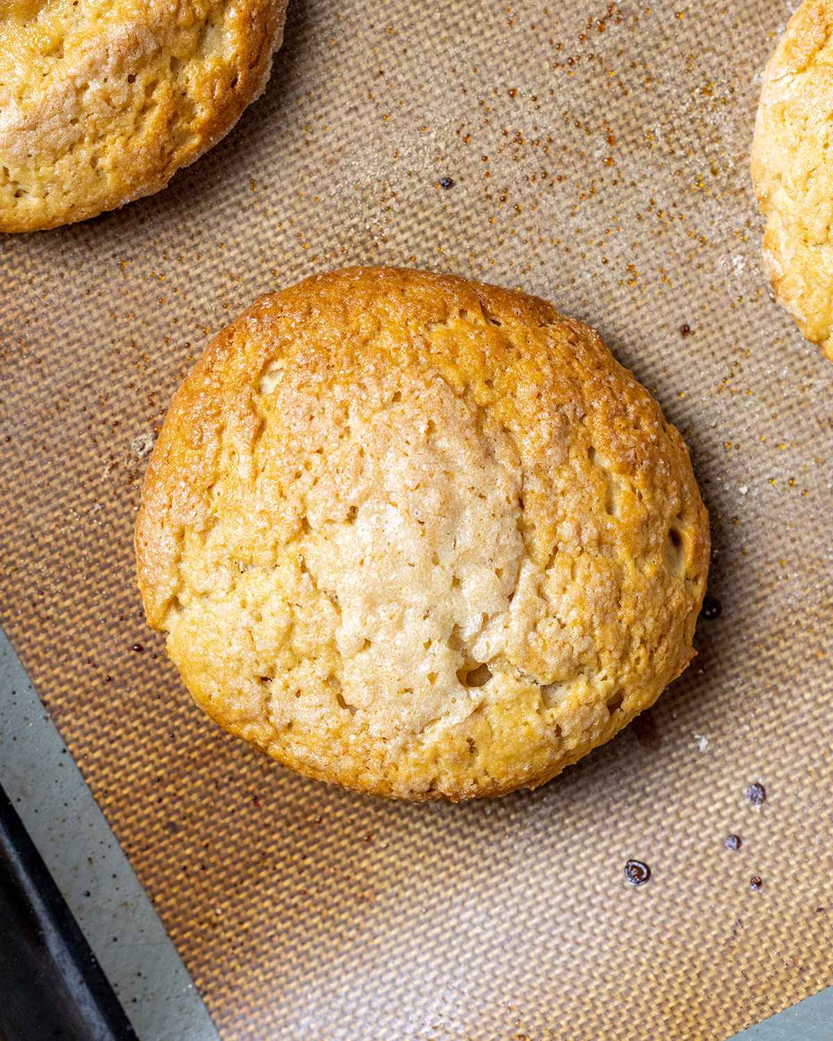 baked vegan shortcake on a baking tray