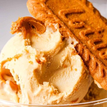 Homemade biscoff ice cream up close