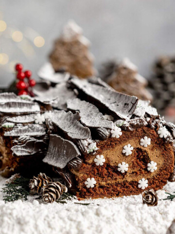 a chocolate yule log cake covered with icing sugar to look like snow