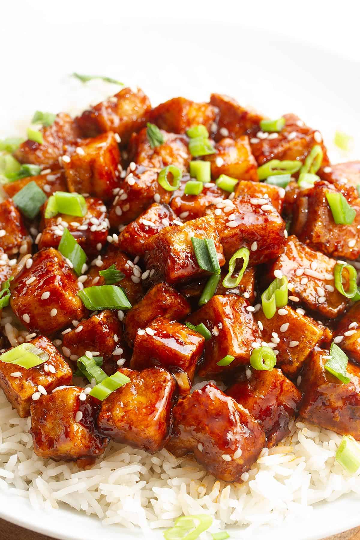 vegan crispy mongolian style tofu on rice