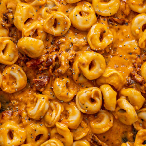 close up of vegan sun-dried tomato pasta