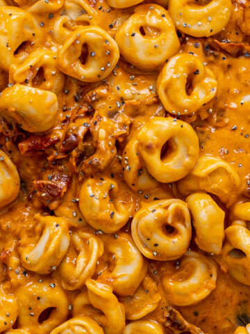 close up of vegan sun-dried tomato pasta