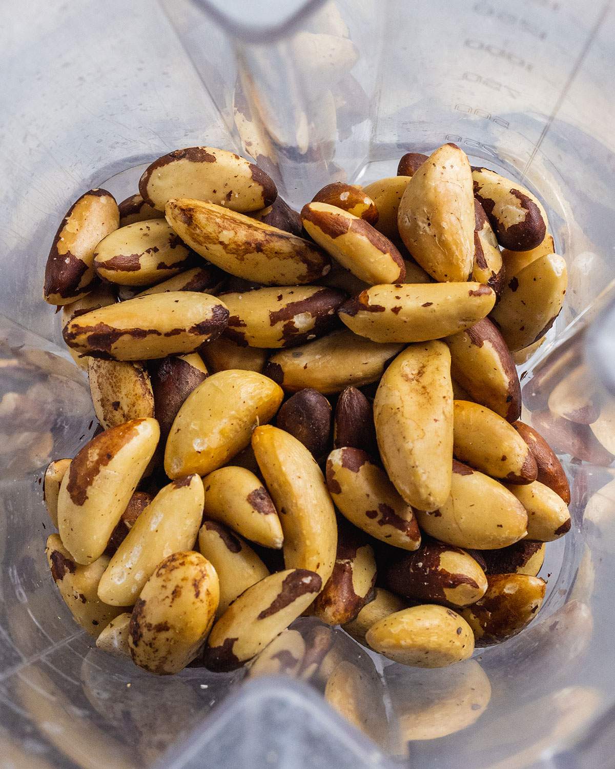 roasted brazil nuts in a blender