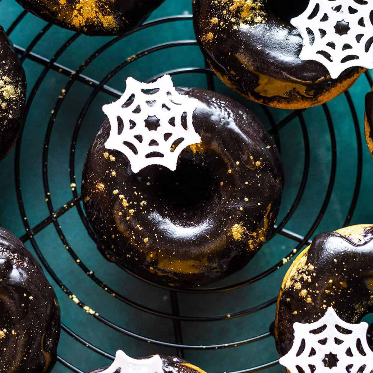 Baked Pumpkin Donuts-image