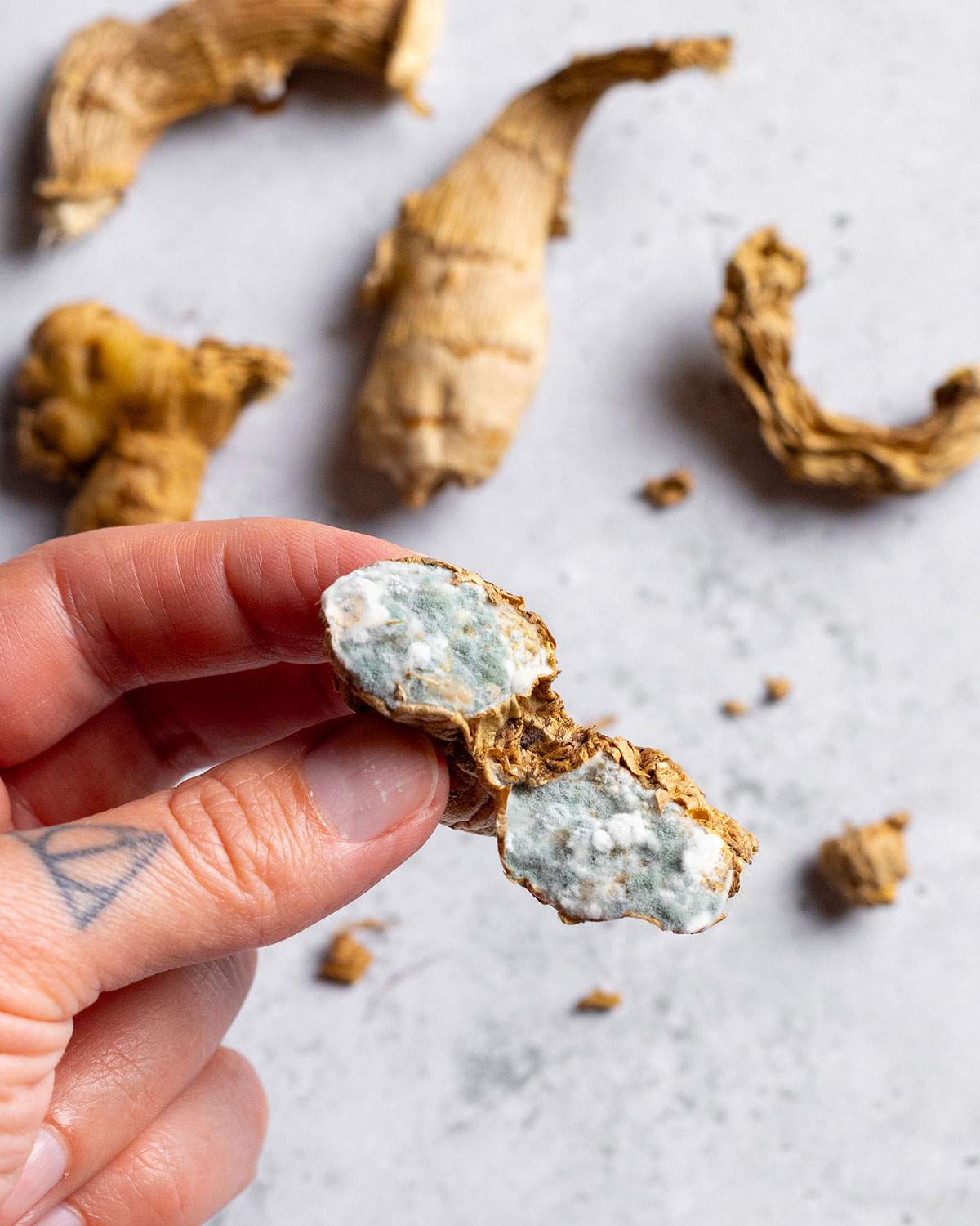 A hand holding a piece of moldy ginger with more ginger pieces visible in the background.