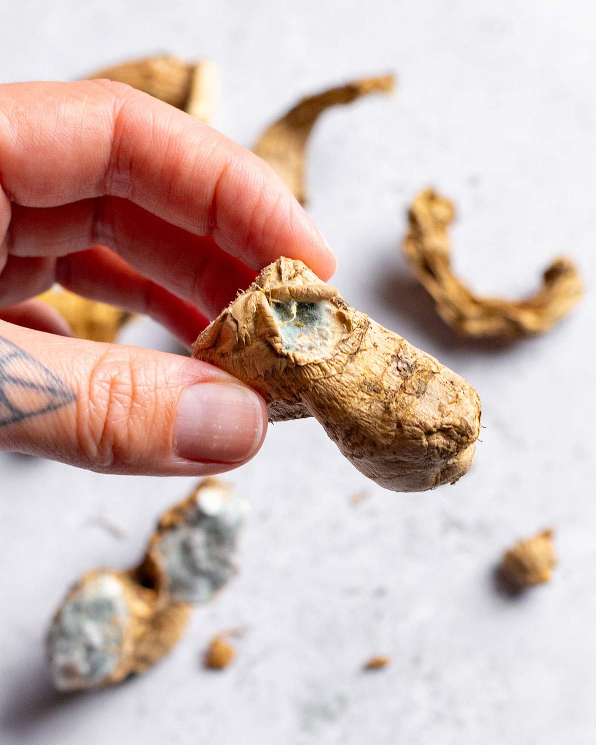 A hand holding a piece of ginger with a moldy edge.