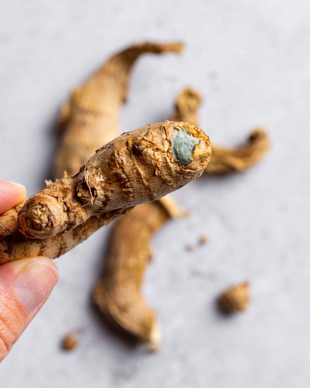 A hand holding a piece of ginger root with a moldy spot.