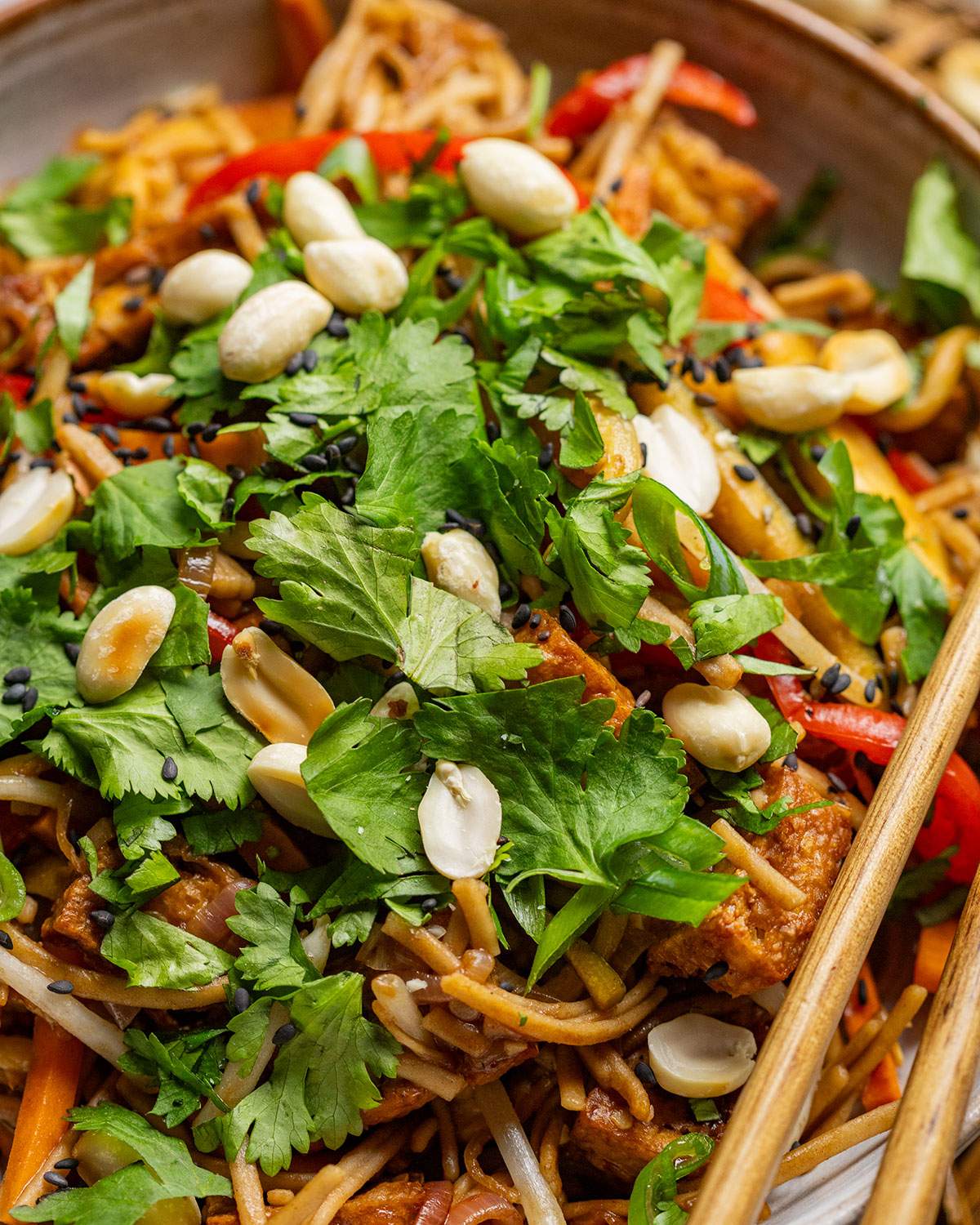 Fresh Coriander and peanuts on top of a bowl of tofu pad thai.