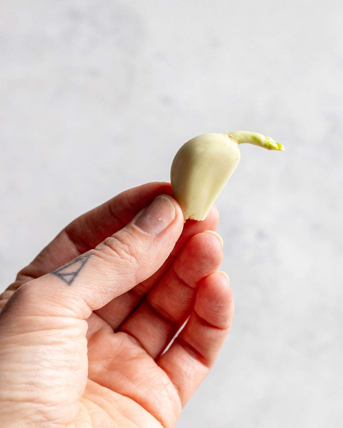A hand holding a sprouting clove of garlic.