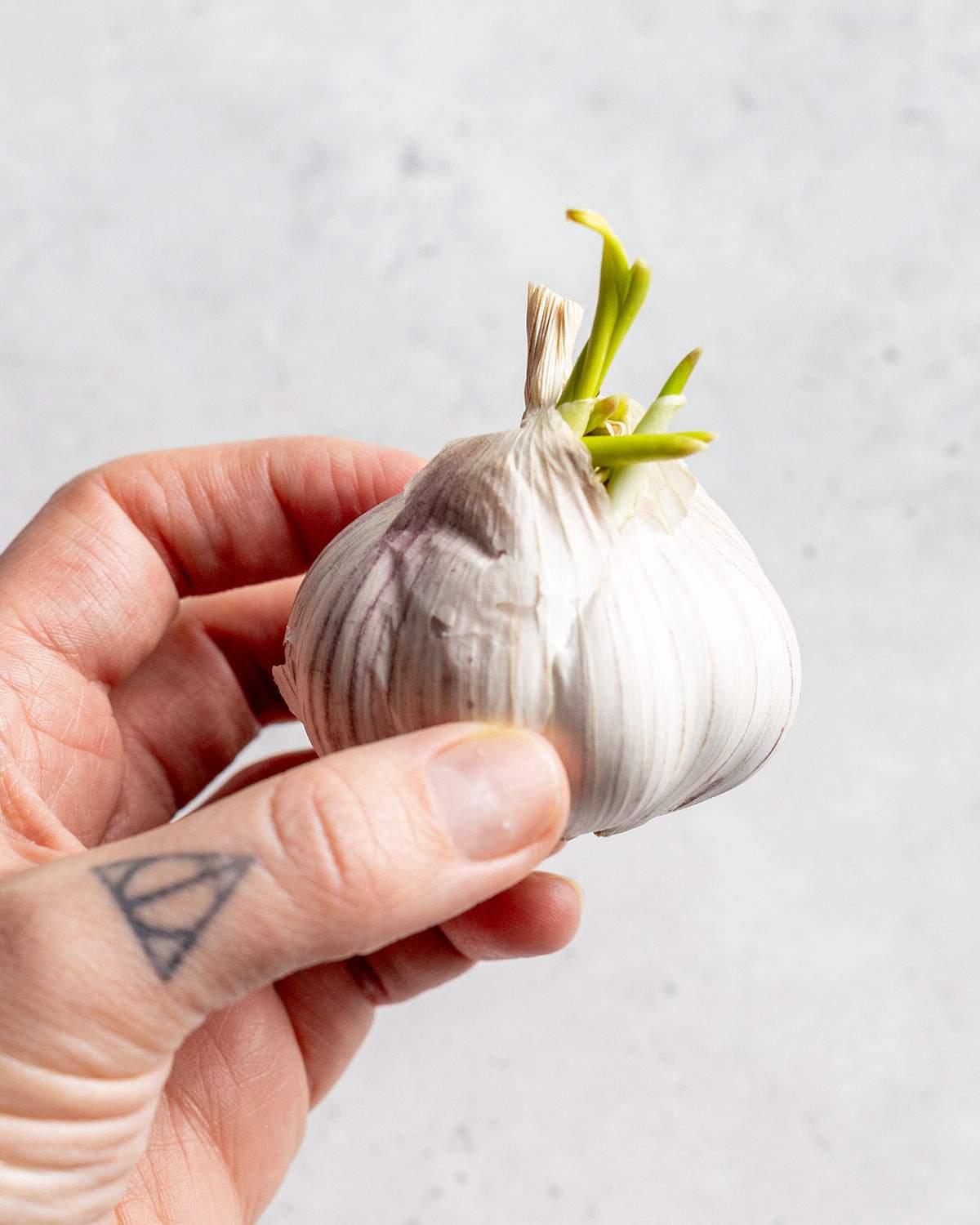 A hand holding a sprouting garlic bulb with green shots coming out at the top.