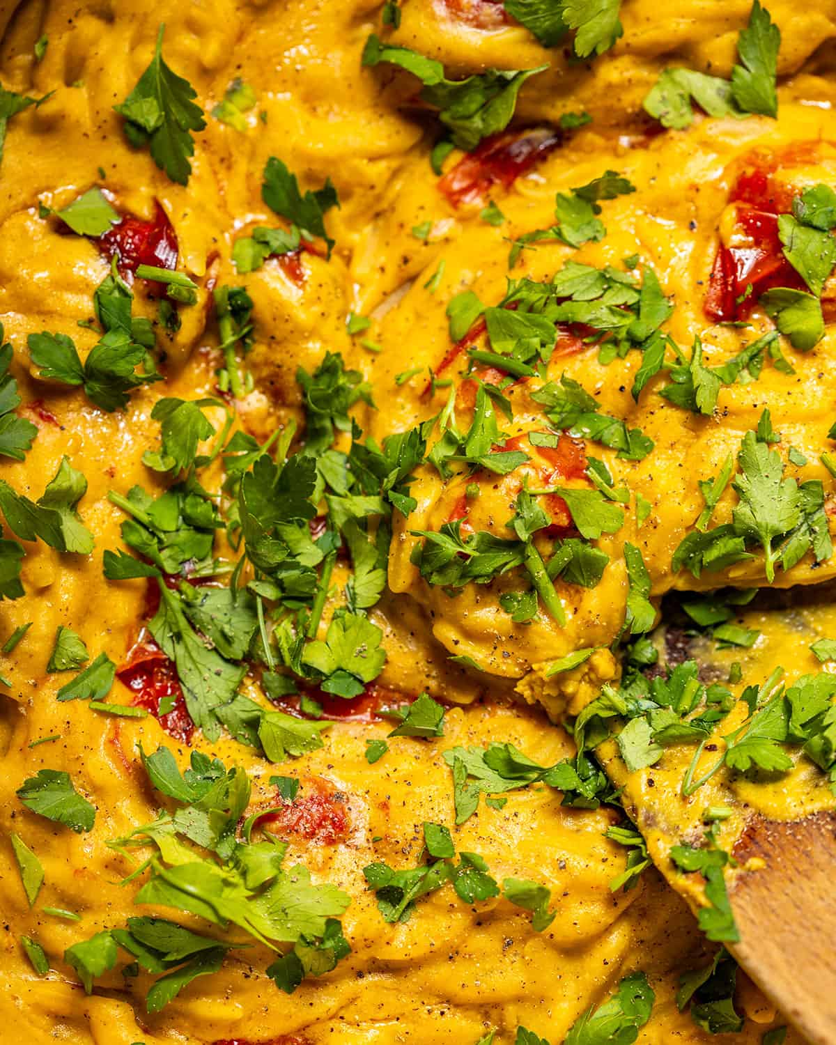 A close up of a creamy orzo dish with fresh herbs in a skillet.