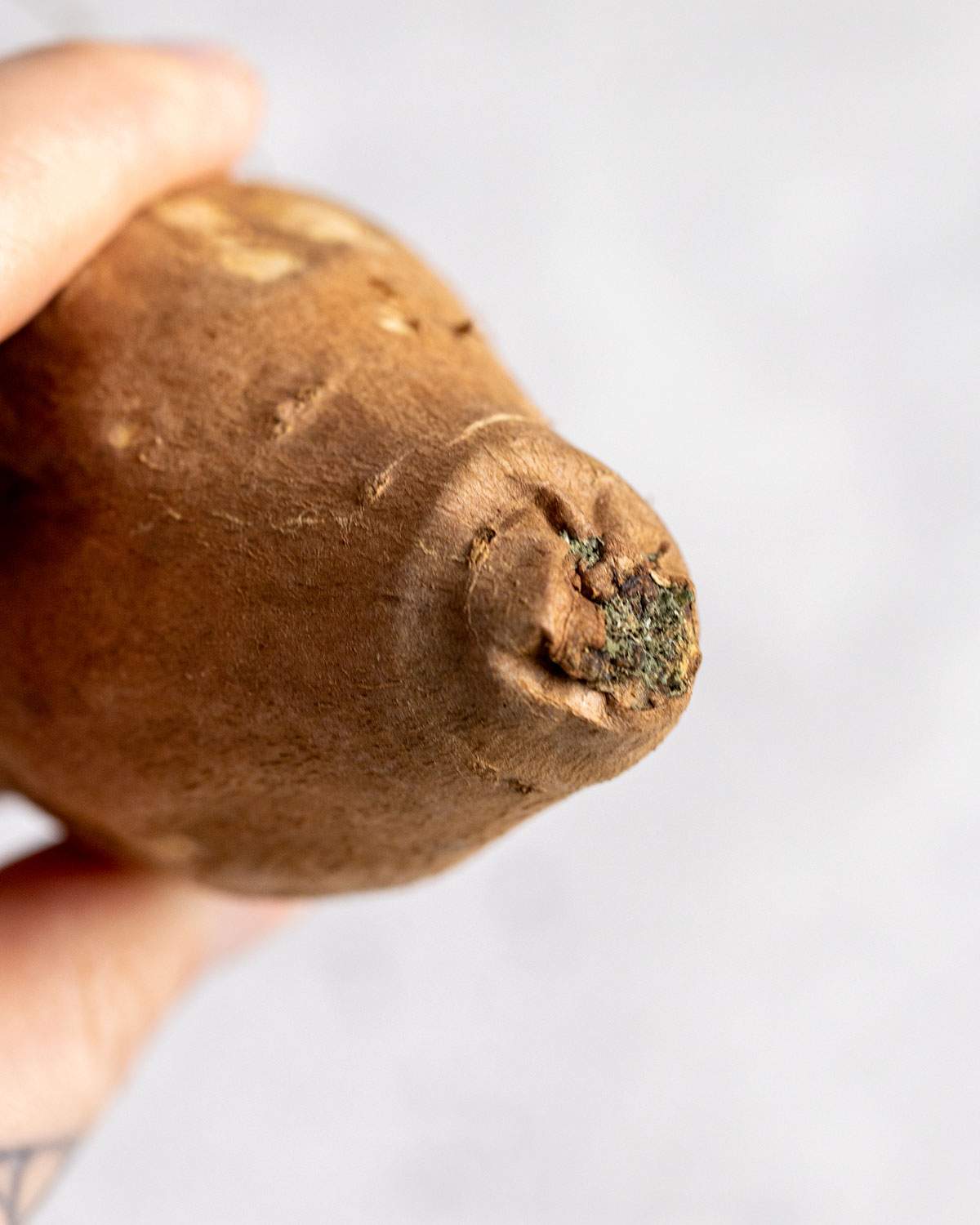 A soft edge of a sweet potato.