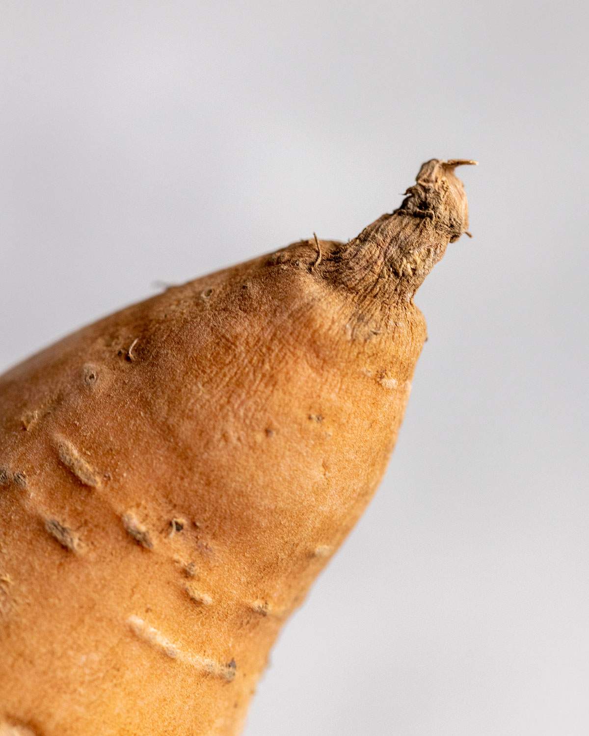 The dry edge of a sweet potato up close.