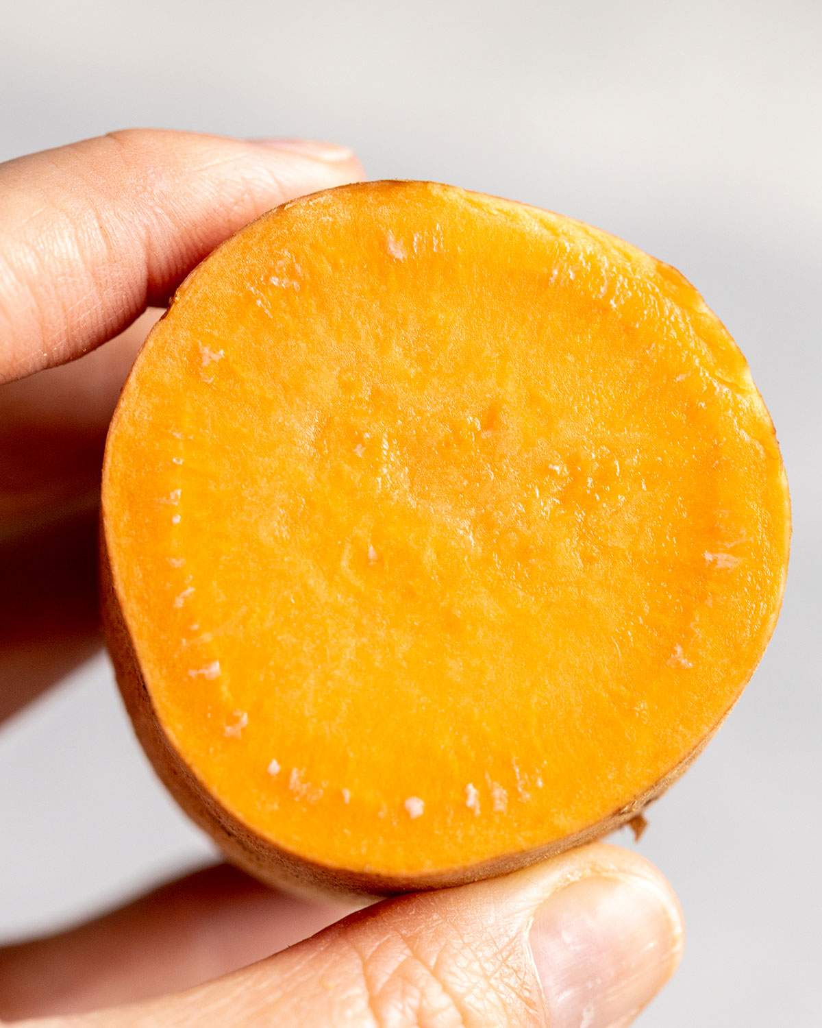 The inside of a perfectly fresh sweet potato.