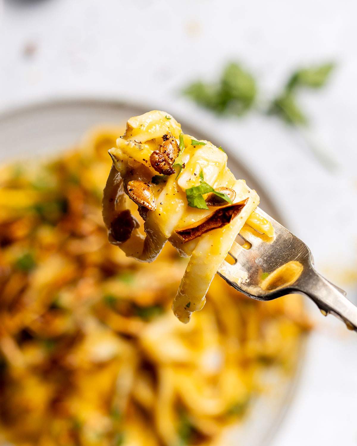 Creamy tagliatelle on a fork.