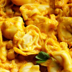 Creamy pumpkin tortellini up close.