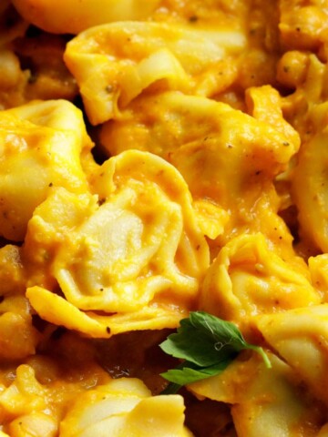 Creamy pumpkin tortellini up close.