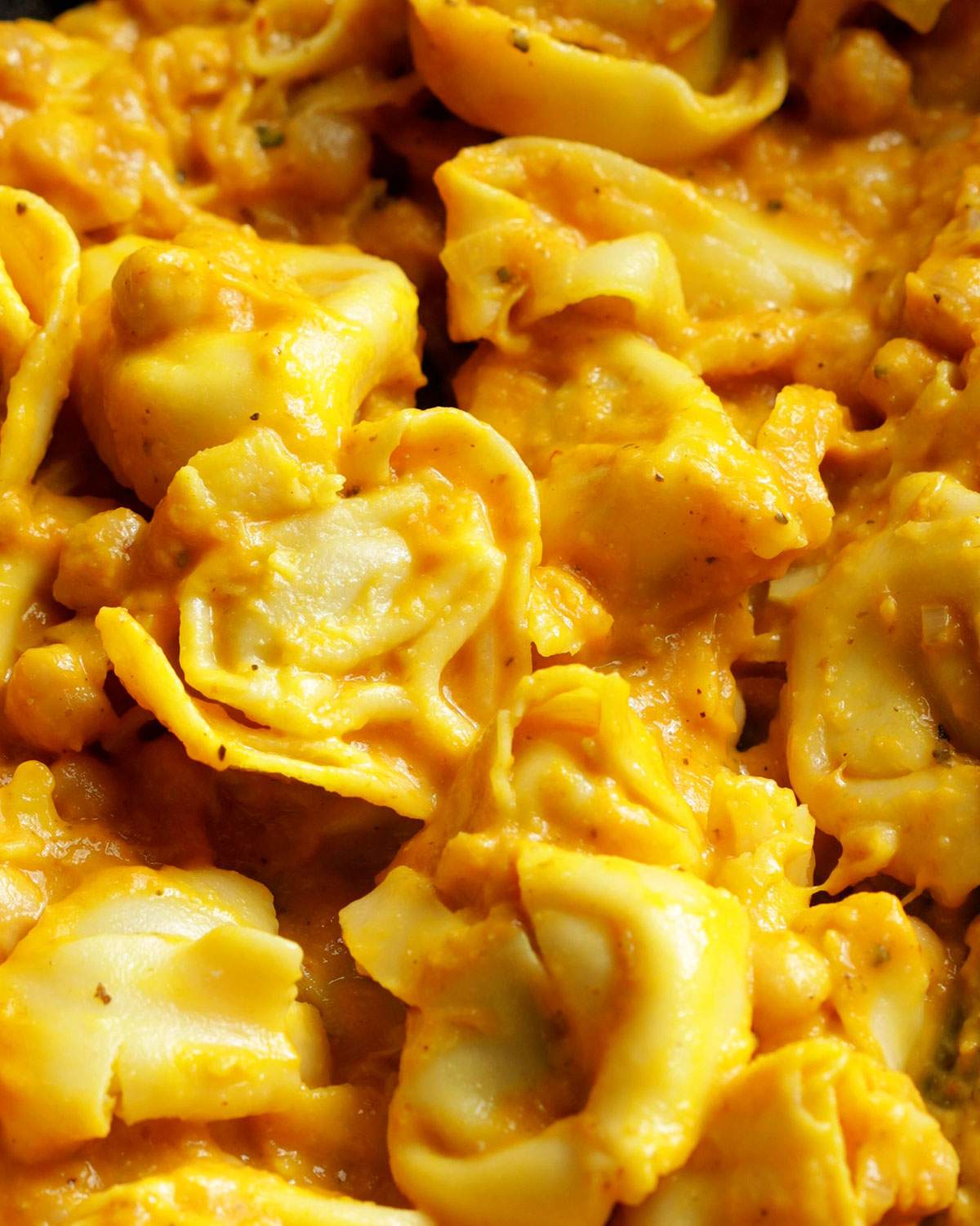 Creamy pumpkin tortellini up close.