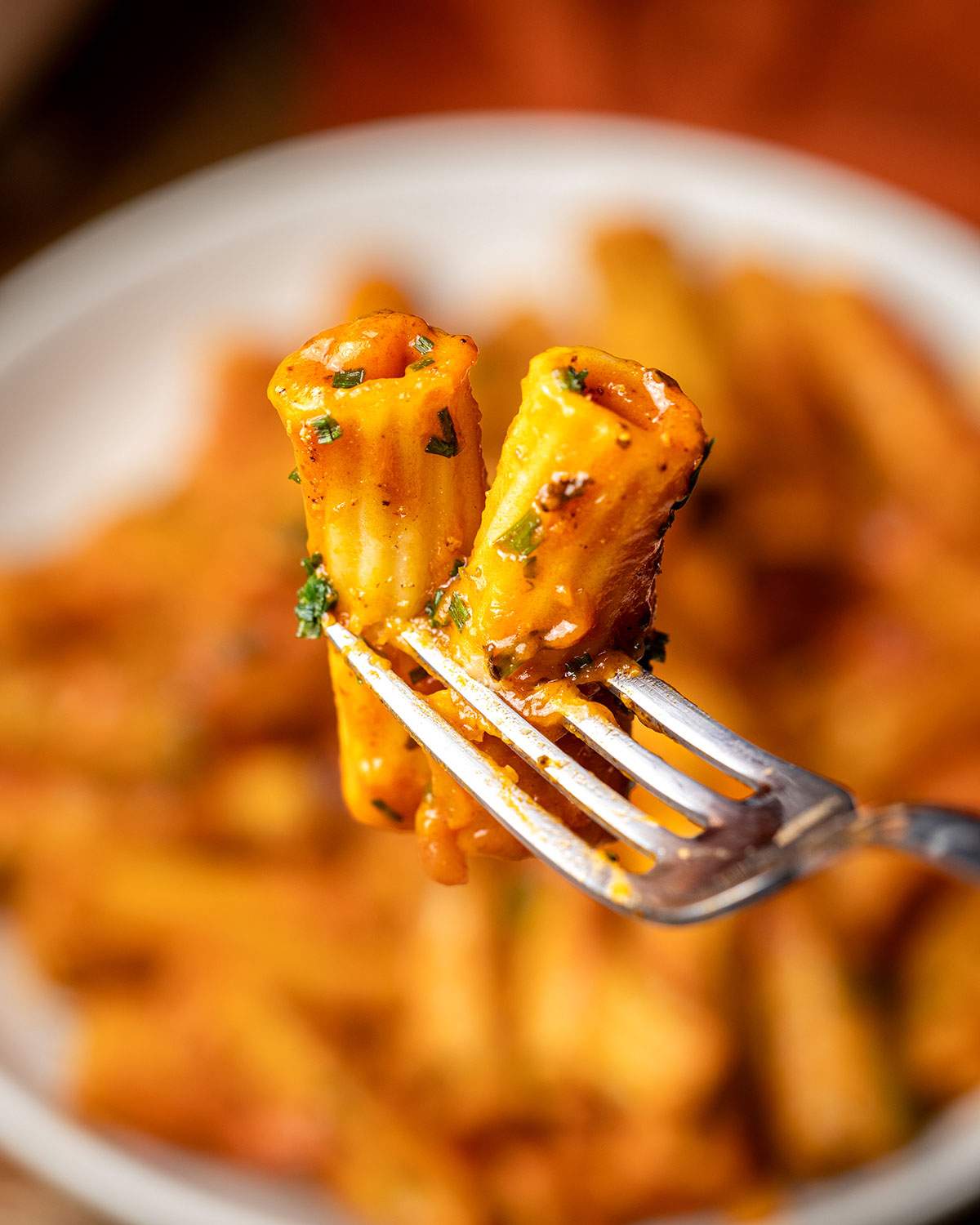 Two rigatoni pasta with spicy tomato sauce on a fork.