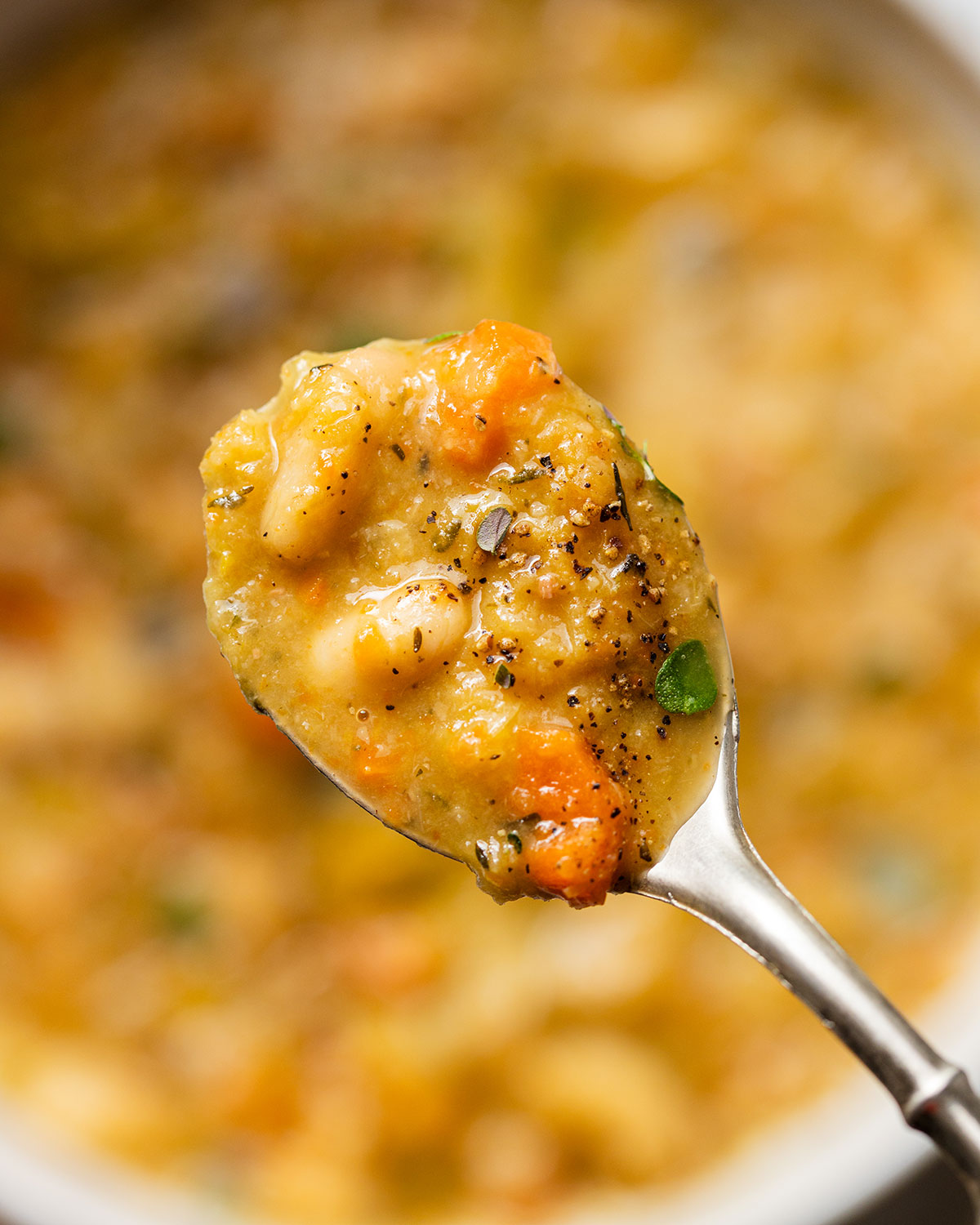White bean and vegetable soup up close on a spoon.