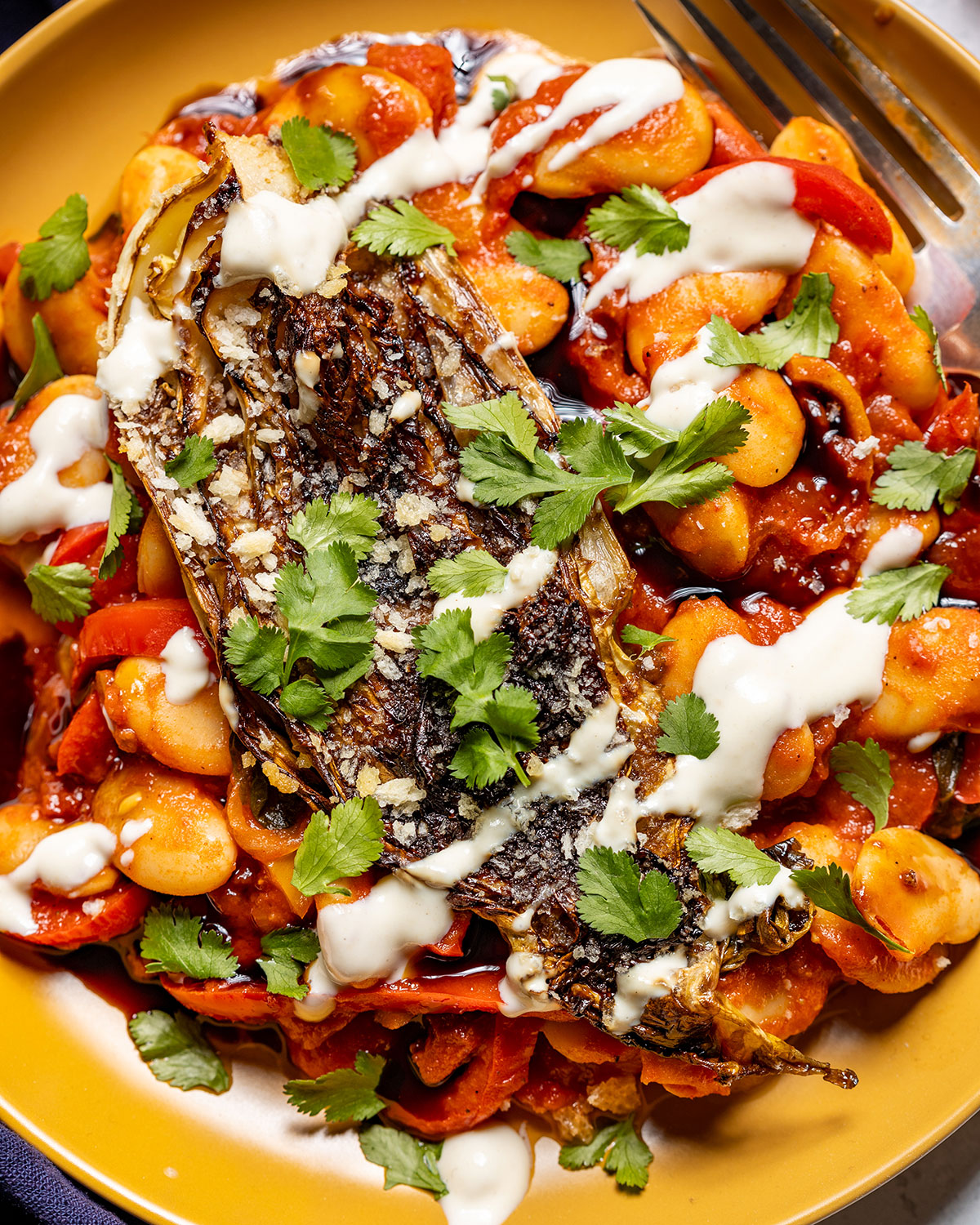 Seared cabbage and beans in tomato sauce with fresh herbs and yogurt drizzle on top.