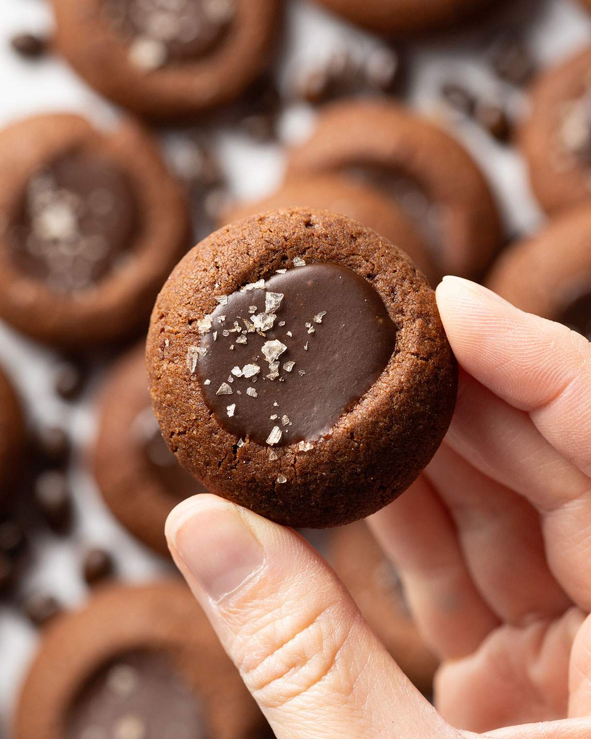 A hand holding an espresso thumbprint cookie up close.