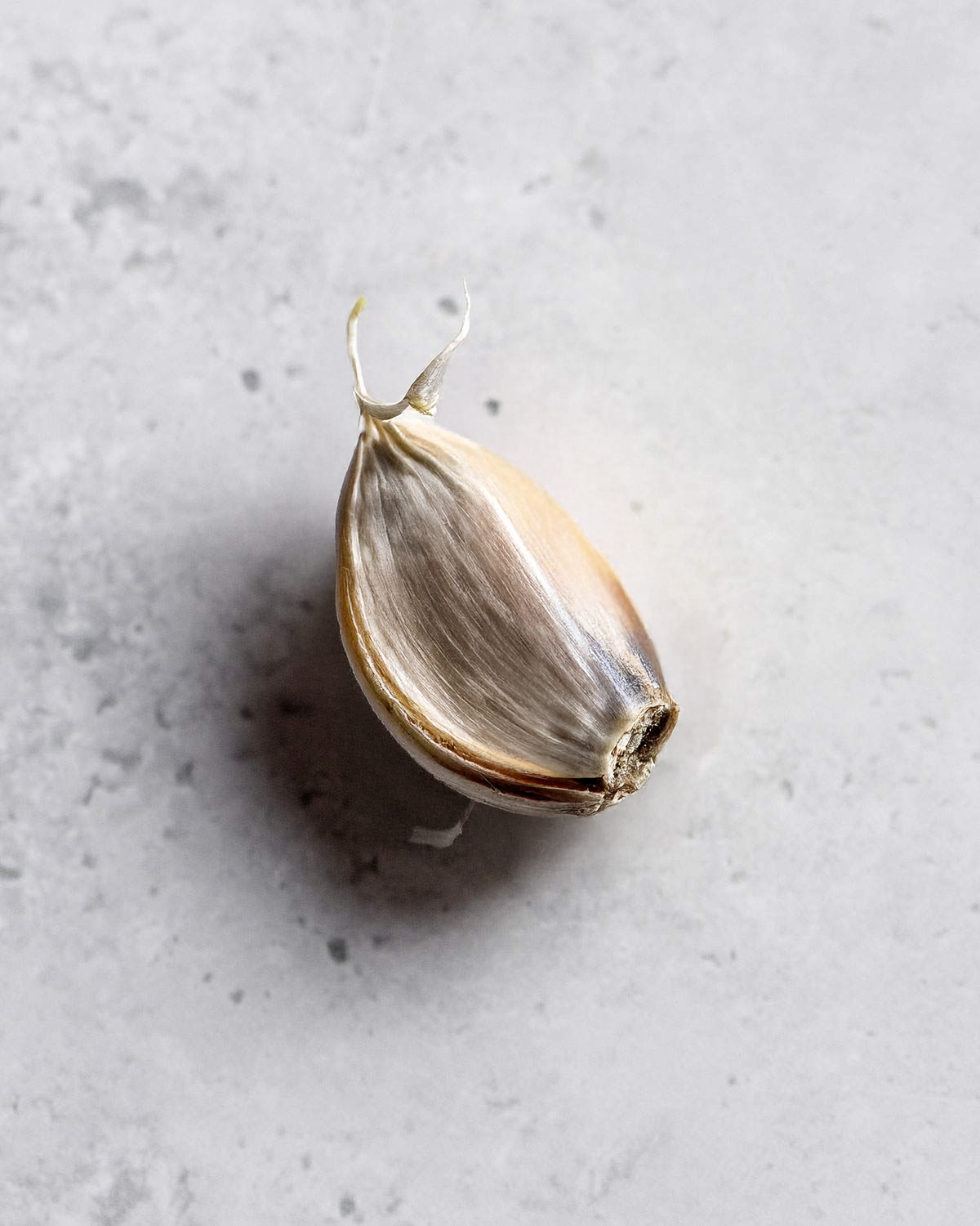 A rotting and dry clove of garlic.