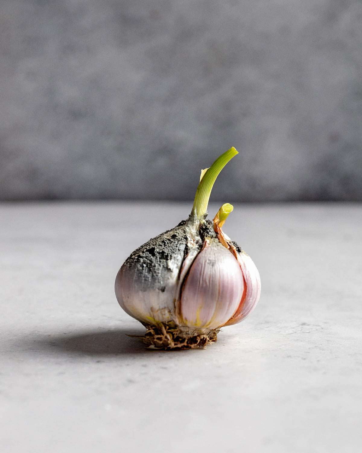 A moldy garlic bulb.