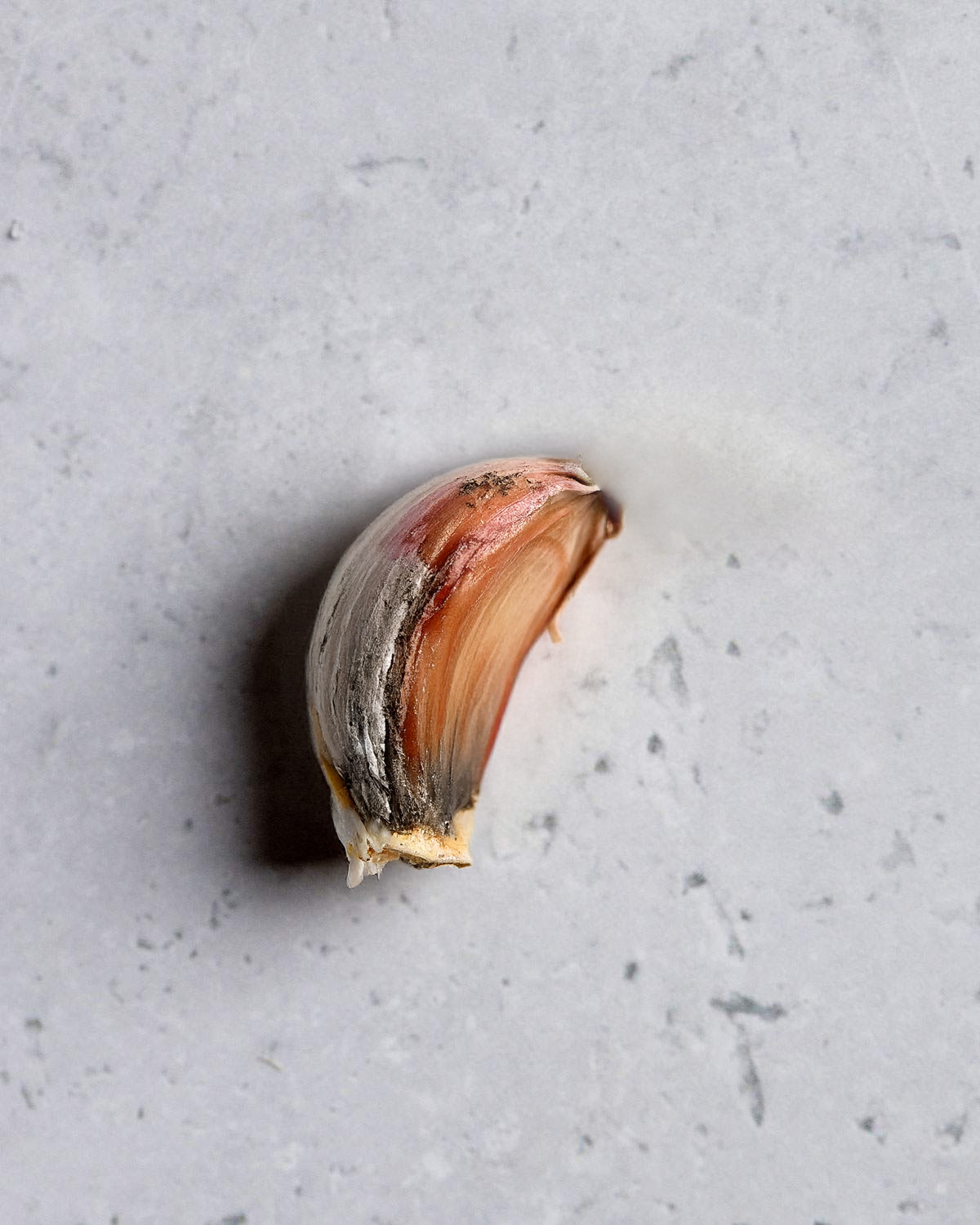 A rotting clove of garlic.