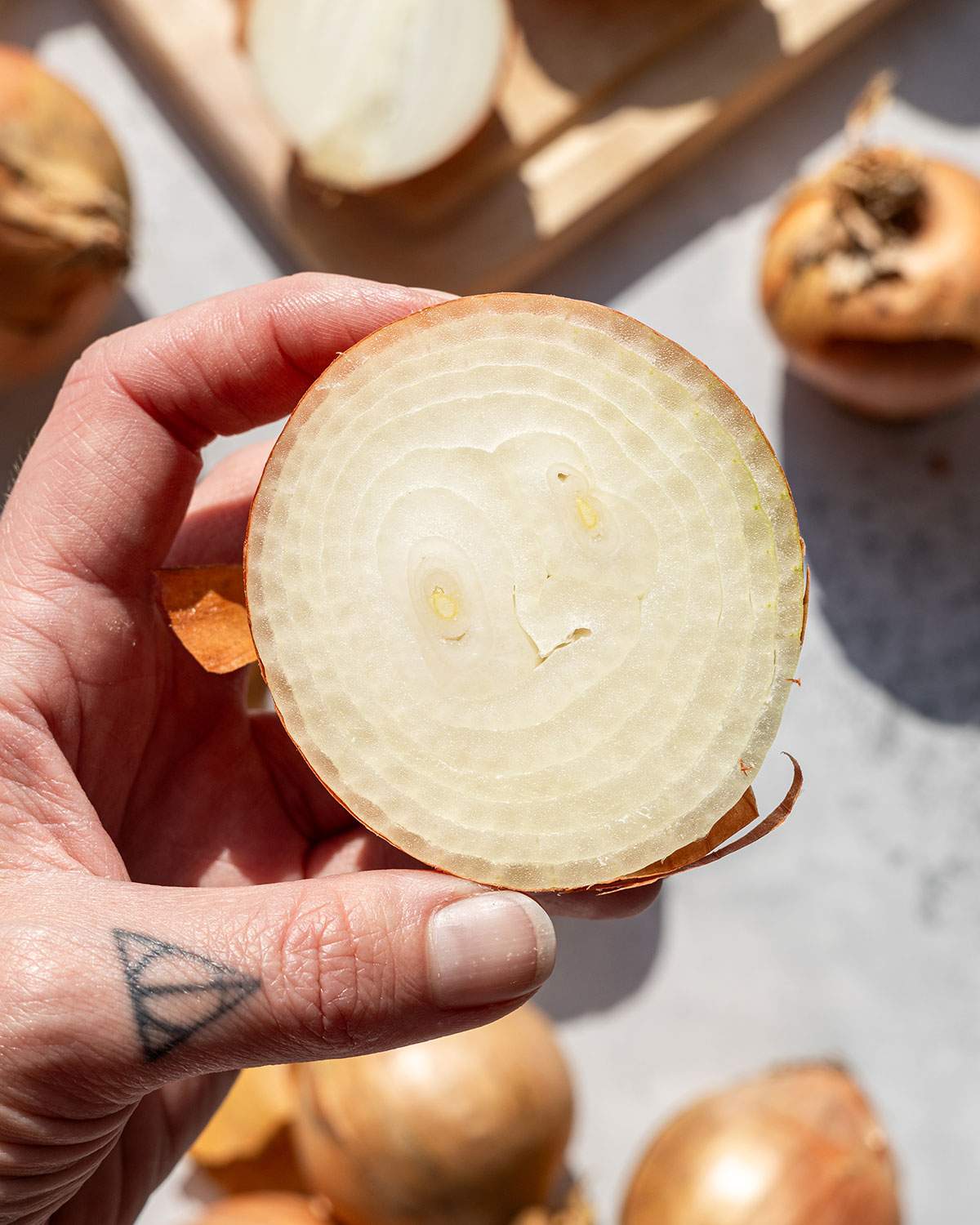Close-up of a halved onion held in hand, showing clean onion rings.