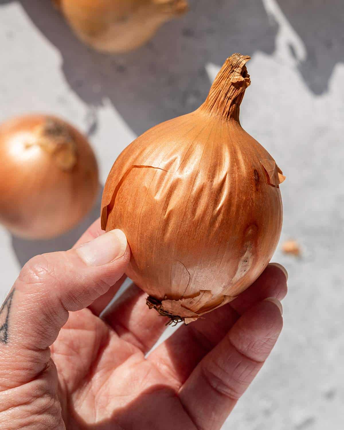 Close-up of a hand inspecting the root end of a firm yellow onion.