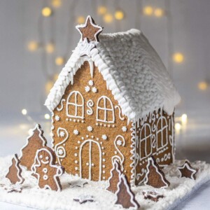A vegan gingerbread house decorated with white royal icing.
