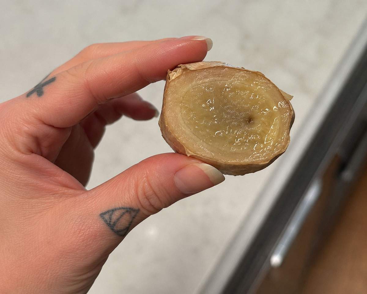 Hand holding a cut piece of ginger with a soft, wet and slimy-looking interior showing signs of spoilage.