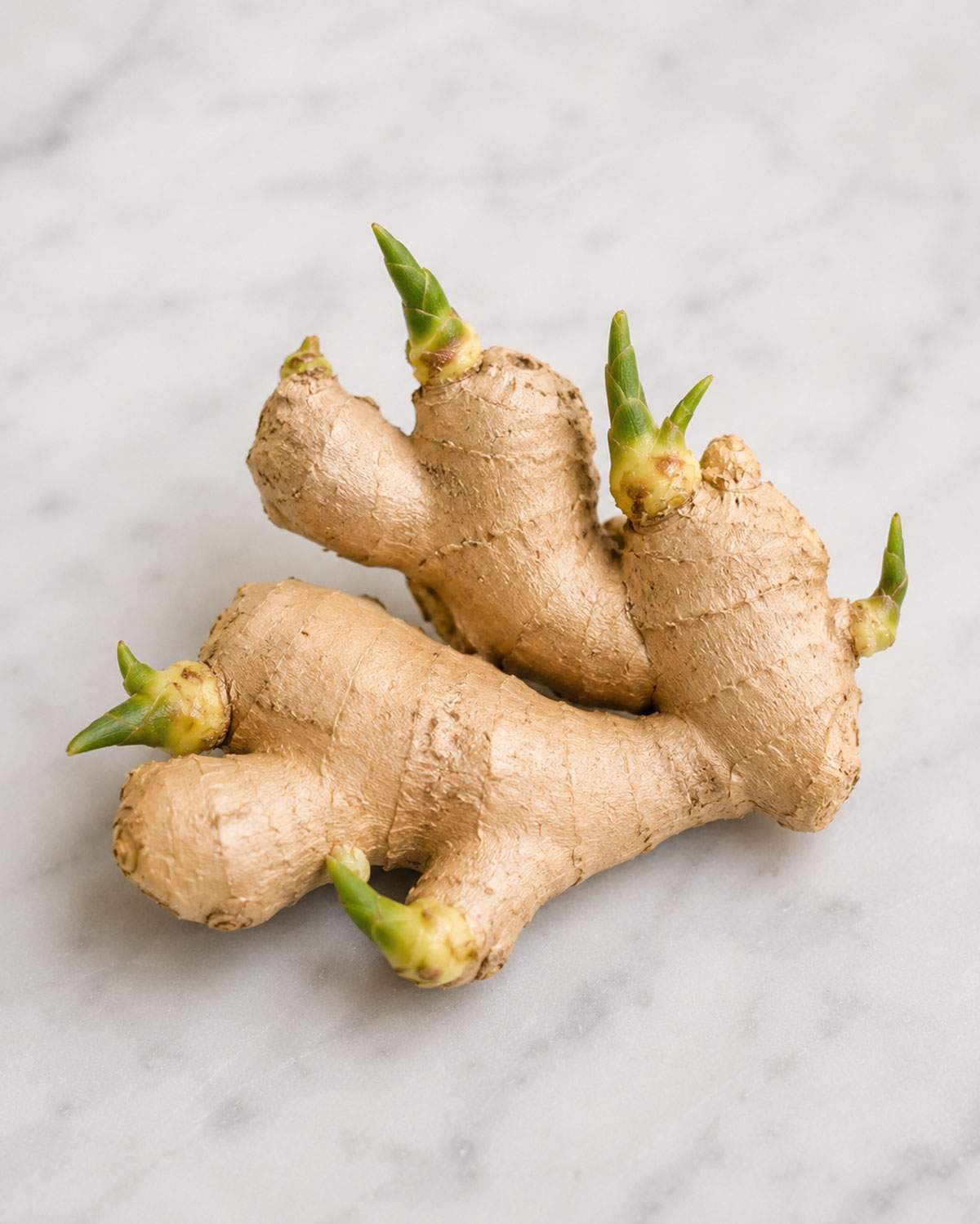 Whole ginger root with several green shoots sprouting from the surface.